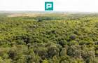 TEREN AGRICOL EXTRAVILAN  22.900 MP LIPOVA - 5