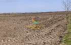 Teren extravilan – 10.000 mp, acces DN4 Frumușani - 3