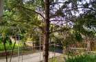 Casa de vanzare in Cuvin com. Ghioroc jud Arad - 12
