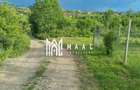 Teren intravilan de vânzare Daia Nouă | 1000 mp | Ideal pentru construcție - 5