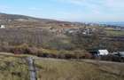 Teren 20.146 mp Dâmbu Rotund (Lomb).Extravilan.Potențial rezidențial - 13
