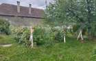 Casa pitoreasca în Viile Tecii cu o grădina de 26 de arii - 8