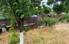 De vânzare: Casă și teren adaptabil la bugetul tău – Urziceanca, Com. Ciocănești - 5