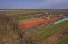 NUCI - BALTA NEAGRA, LOT 7000 MP, LA PADURE! - 11