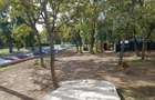 Teren Generos/ Locatie Premium - 1
