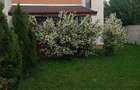 Duplex mobilat si utilat!!! - 2