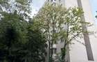 2 camere decomandat | Renovat | Loc de parcare inclus – Codrii Neamtului - 15