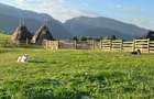 Teren intravilan (18066 mp) si extravilan (4566 mp) in sat Pestera, com Moieciu - 5