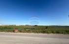 Teren 10.555mp Clinceni /Strada Drumul Mare 850 până la Sos de Centură - 11