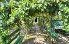 Casă de vânzare Munteni-Buzău județul Ialomița gata de locuit - 3