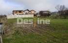 TEREN DE VANZARE DOMNESTI, 600 mp - 1