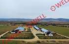Ferma complet echipată de 22 de hectare de vânzare în Zoltan! - 3