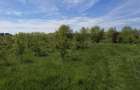Teren intravilan 664 mp – Peris, Ilfov | Locatie linistita, ideal pentru casa - 5