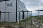 Hale noi 2026 AFUMATI ( Moara Domneasca ) 2300 Euro - 11
