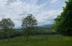 Teren de vânzare în Cisnădioara, aproape de cetate, cu priveliște superbă - 8