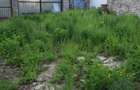 Teren de 411 mp | Bucurestii Noi - 2
