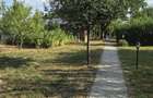Casă și teren de vânzare – Zona Careiului - 16