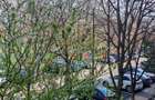 Sebastian Parc 2 cam 65 mp inchiriat 490 eur - 1