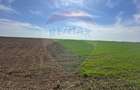 Teren 138.104 mp Dragomiresti-Vale, Ilfov, langa A0 - 7
