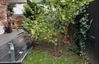 Apartament 3 camere + gradina- Rozelor - 13