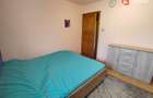 Apartament cu 3 camere de vanzare in Timisoara, zona Freidorf - 9