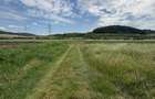 Teren intravilan Criseni 42 de ari 3300eur/ar - 4