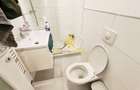 2 camere, decomandat, modern, Ultracentral, zona Universitatilor - 14