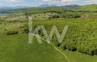 Teren 1500 mp | Zona Viesel – Codlea | Priveliște Superbă | Investiție - 7