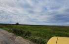 PLOIESTI zona de Centura - intravilan industrial 23500 mp la 7 eu/mp - 8