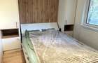 Apartament modern 3 camere dec de închiriat, Plopilor, USAMV Platinia - 13