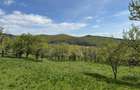 TEREN INTRAVILAN 8330 MP, INURI, VINTU DE JOS - 5