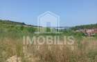 Teren de vanzare | 8800 mp | Viile Dealul Mic - 1