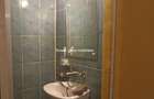 Vanzari Apartamente 4 Camere Cismigiu - 6