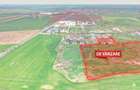 Teren intravilan 3.2 ha | Orțișoara | Zonă industrială/agrozootehnică - 3