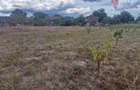 Teren intravilan de 1493 mp cu utilitati - Ianova - 1