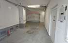 Spatiu productie alimentara 265 mp, Dambul Rotund - 4