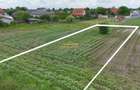 Teren 1500 mp Caciulati Moara Vlasiei, cu utilități - 4