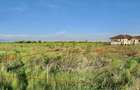 Teren Corbeanca, Balotesti, retras, cu pădure si lac in apropiere - 3