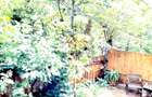 Casa 5 camere, D+P+M, ultracentral, zona deosebita, Campina, Prahova - 7