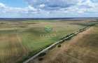 Teren  Intravilan - Giurgiu || Comuna Bulbucata -  15,4 Ha