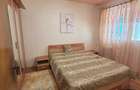 Apartament 2 camere de inchiria, metrou Gorjului, renovat, mobilat - 5