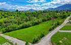 Teren intravilan zona Bran-Tohanita,judetul Brasov loturi intre 500 si 1000 m - 6