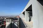 Penthouse de vanzare in Buna Ziua / Bonjour Residence - 6