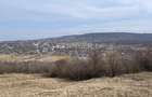 Teren intravilan 11.300mp, Barnova, cu acces auto si front stradal - 5