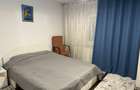 De Inchiriat Apartament 2 camere Decebal, Pet Friendly - 7