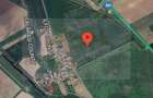 Teren intravilan de vânzare Cernica – Tânganu | 4 loturi x 954 mp | Investiție - 3