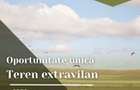 Oportunitate unica! Teren extravilan, 9999 mp, Pecica - 1
