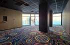 REC3001294 Spatiu comercial Ion Mihalache - 2