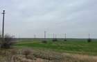 Giurgiu-Marsa Teren Agricol 8.5 Ha - 6