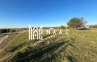 Teren 3000 mp  | Intravilan | Zona Turnisor-Magnolia - 1